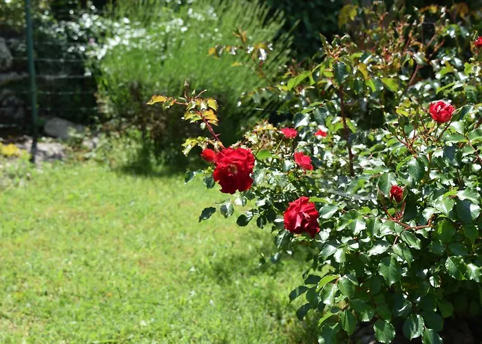 Apartament Chiara Labin (Istria)